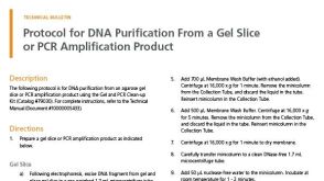 Protocol for DNA Purification From a Gel Slice or PCR Amplification Product