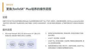 更换为mTeSR™ Plus培养的操作流程
