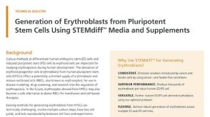 Generation of Erythroblasts from Pluripotent Stem Cells Using STEMdiff™ Media and Supplements