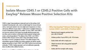 Isolate Mouse CD45.1 or CD45.2 Positive Cells with EasySep™ Release Mouse Positive Selection Kits