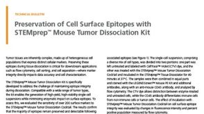 使用STEMprep™小鼠肿瘤解离试剂盒保留细胞表面表位完整性
