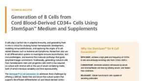 Generation of B Cells from Cord Blood-Derived CD34+ Cells Using StemSpan™ Medium and Supplements