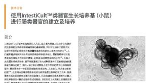 使用IntestiCult™类器官生长培养基（小鼠）进行肠类器官的建立及培养