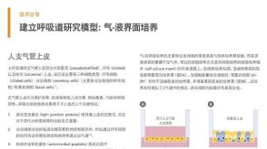 建立呼吸道研究模型：气-液界面培养