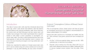 Tumorsphere Culture of Human Breast Cancer Cell Lines