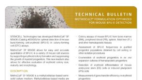 MethoCult™ Formulation Optimized for Mouse BFU-E Detection