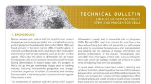 Culture of Hematopoietic Stem and Progenitor Cells (HSPCs)