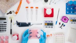 从脐带血中分离CD34+细胞