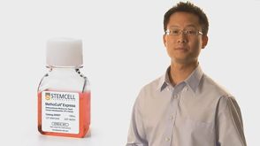 MethoCult&trade; Express for Cord Blood Banks and Transplantation Centers