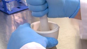 How to Isolate Mesenchymal Stromal Cells (MSCs) from Mouse Compact Bone