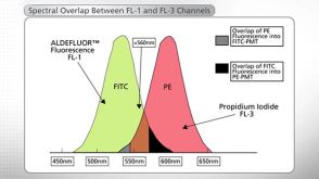 Flow Cytometry Analysis of ALDH Bright Cells with the ALDEFLUOR™ Assay Kit