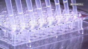 How to Perform Semi-Solid Cloning of CHO Cell Lines in 96-Well Plates Using ClonaCell™-CHO Medium