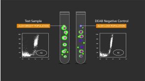 How ALDEFLUOR™ ALDH Assay Kit Detects Normal and Cancer Progenitor Cells