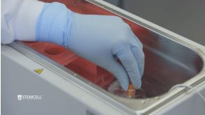 How to Thaw Frozen Human Primary Cells