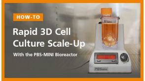 Rapid 3D Cell Culture Scale-Up