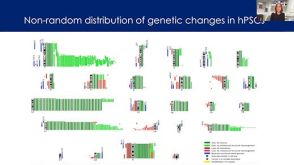 From hPSCs to Immune Cells: Mechanisms of Selection in Human Pluripotent Stem Cell Cultures