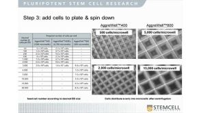 Animal Component-Free hPSC Differentiation to Multiple Lineages
