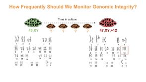 Maintaining and Assessing High-Quality hPSC Cultures