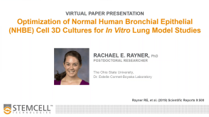 Optimization of Normal Human Bronchial Epithelial Cell 3D Cultures for In Vitro Lung Model Studies