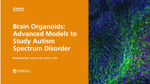Virtual STEMCELL Seminar: Brain Organoids: Advanced Models to Explore Autism Spectrum Disorder