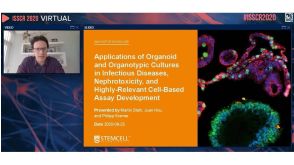 Applications of Organoid and Organotypic Cultures in Infectious Diseases, Nephrotoxicity, and Highly Relevant Cell-Based Assay