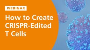 How to Create CRISPR-Edited T Cells 