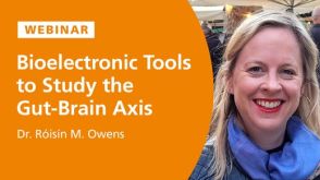 Bioelectronic Tools to Study the Gut-Brain Axis