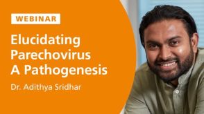 Elucidating Parechovirus A Pathogenesis Using Organoid Models