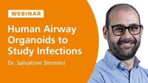 Human Airway Organoids to Study Host-Pathogen Interactions
