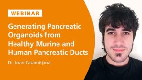 Generating Pancreatic Organoids from Healthy Murine and Human Pancreatic Ducts