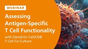 Assessing Antigen-Specific T Cell Functionality with Dendritic Cell/CD8ᐩ T Cell Co-Culture