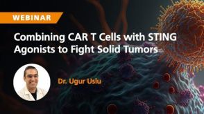 Combining CAR T Cells with STING Agonists to Fight Solid Tumors