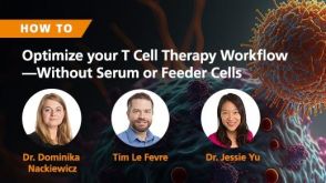 How to Optimize Your T Cell Therapy Workflow—Without the Use of Serum or Feeder Cells