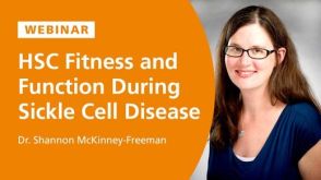The CFU Assay: In Vitro Functional Potency Assessment for Hematopoietic Stem and Progenitor Cells