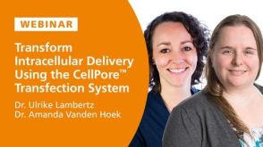 Transform Intracellular Delivery Using the CellPore™ Transfection System