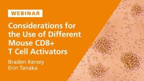 Mouse CD8+ T Cell Activation Methods