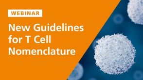 New Guidelines for T Cell Nomenclature