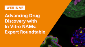 Drug Discovery with In Vitro NAMs: Expert Roundtable
