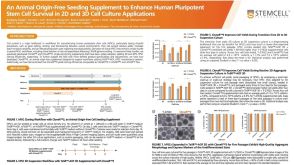 An Animal Origin-Free Seeding Supplement to Enhance Human Pluripotent Stem Cell Survival in 2D and 3D Cell Culture Systems
