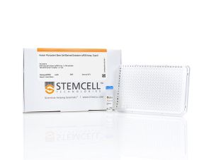 人多能干细胞分化的内胚层 qPCR 阵列