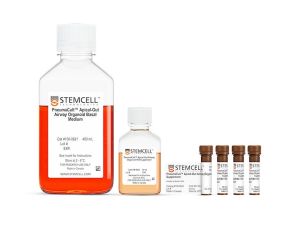 PneumaCult™外翻型呼吸道类器官分泌培养基