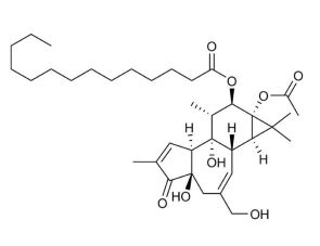 Phorbol 12-myristate 13-acetate