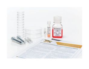 人冻存骨髓CFU测定能力验证项目