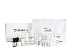 促红细胞生成素（EPO） ELISA Kit