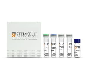 人IgE ELISA抗体对试剂盒