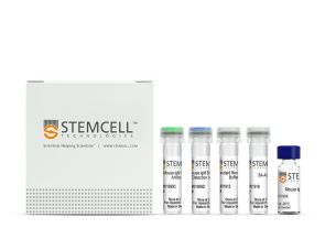 小鼠IgM抗体对ELISA试剂盒