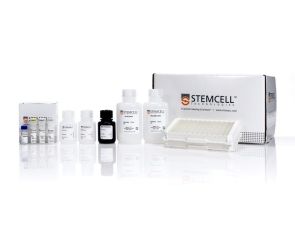 人ifn - γ酶联免疫吸附测定试剂盒