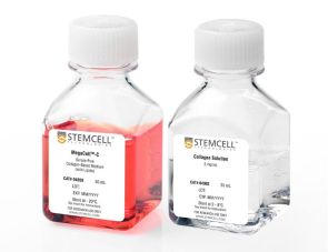 MegaCult™-C胶原蛋白和脂质培养基