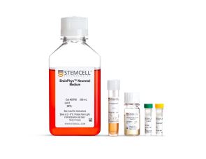 BrainPhys™ hPSC 神经元试剂盒