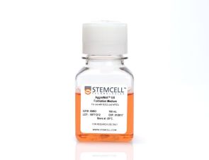 AggreWell™ EB形成培养基